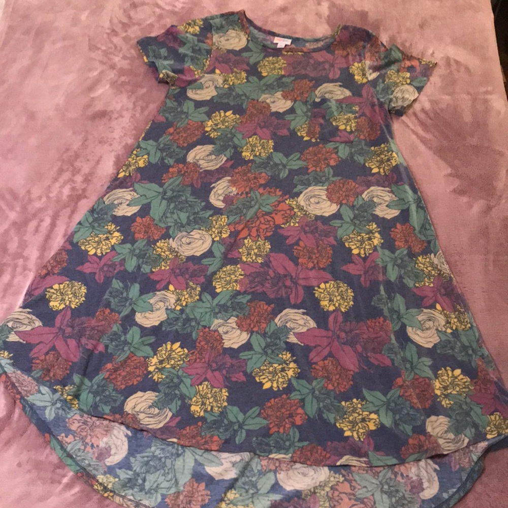 LulaRoe Carly Dress